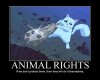 animal rights.jpg